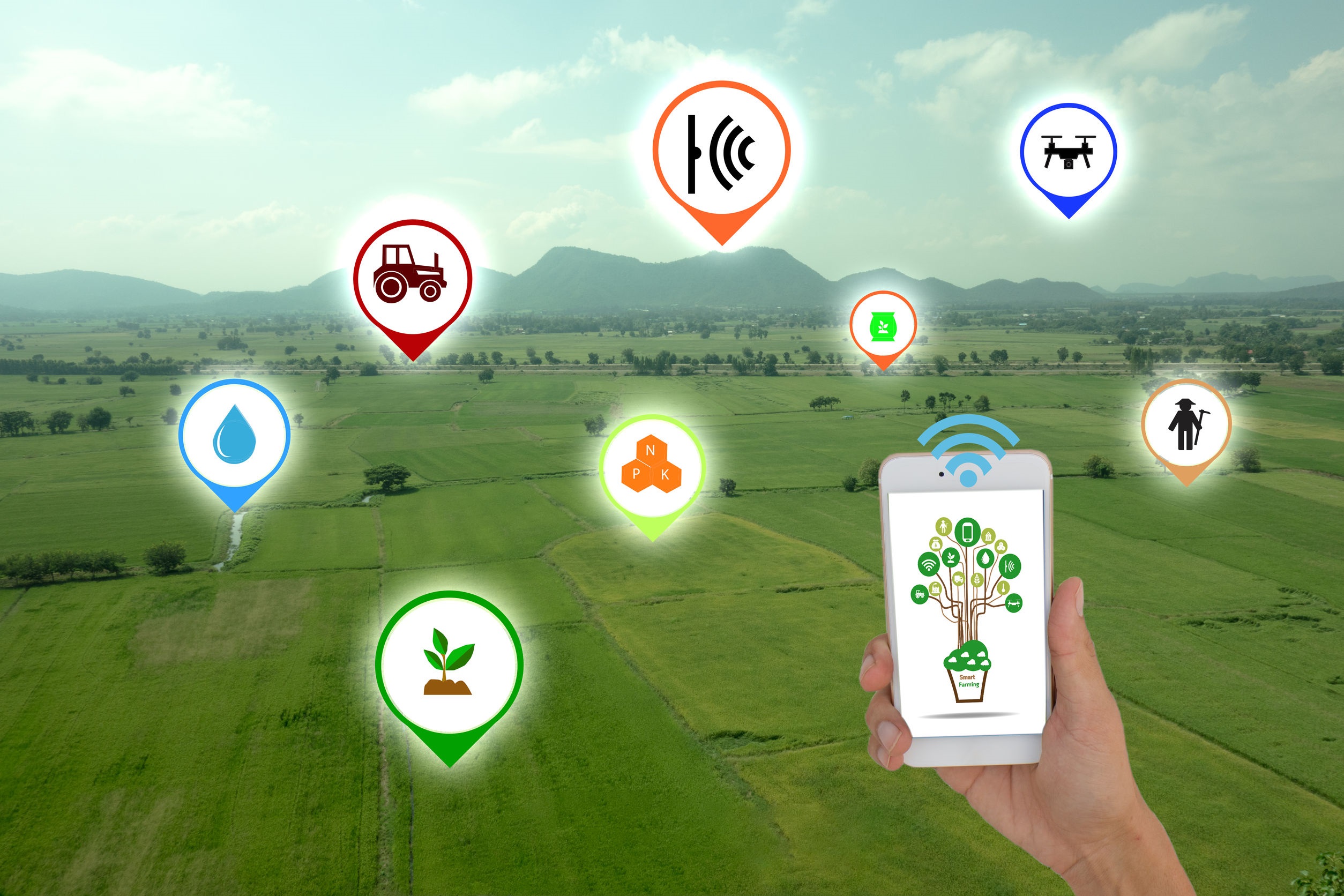 Crop Protection Crop Protection 