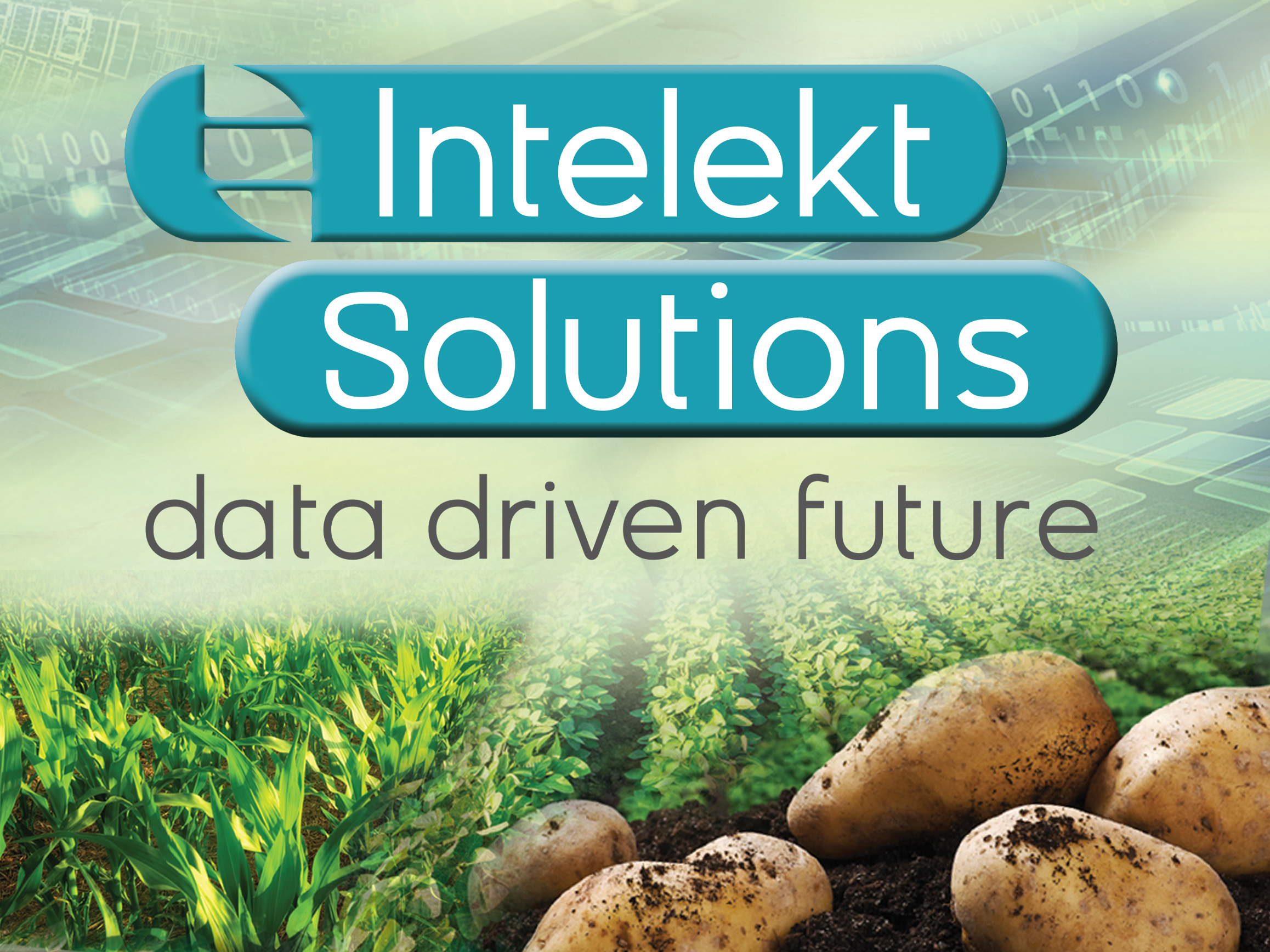 Intelekt Solutions Intelekt Solutions 