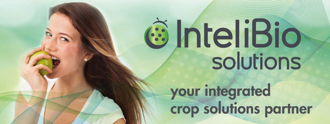 InteliBio Solutions InteliBio solutions 